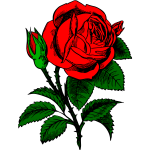 Rose-1571671304