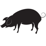 Pig silhouette graphics
