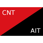 Bandera CNT-AIT