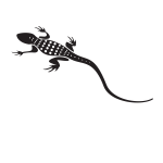 Lizard with long tail