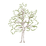 Oak Leaf 1577294923 Free SVG