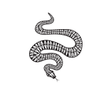 Snake silhouette monochrome