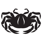 Crab animal