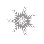 Snowflake particle