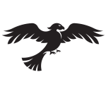 Hawk silhouette