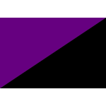 Anarcha-Feminist Flag