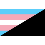 Transgender Anarchist Flag