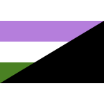 Gender Queer Anarchist Flag