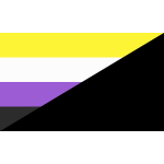 Nonbinary Anarchist Flag