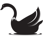 Silhouette of a swan