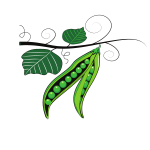 Green peas-1621764062