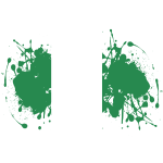 Nigerian flag ink grunge