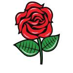 Red rose vector sketch