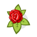 Flower red rose
