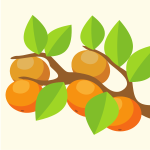 Orange fruit on a tree branch