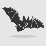 Bat silhouette vector graphics
