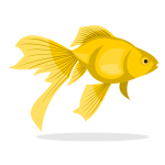 Goldfish vector clip art