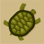Turtle cartoon clip art graphics