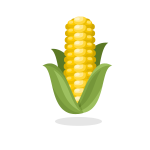 Corn plant clip art