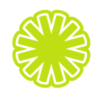 Green snowflake logo concept