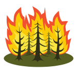 Forest fire-1669108043