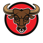 Bull head logo concept