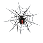 Spider web-1673421031