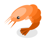 Shrimp-1680701252