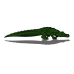 Crocodile-1682265305