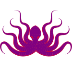 Octopus 6