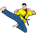 martial arts 1