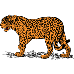 Jaguar-1685259581