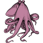 Octopus 10