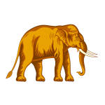 Elephant 4-1685628192