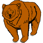 grizzly bear-1686083476