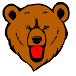 Grizzly bear's head 1