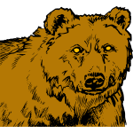 Grizzly bear's head 2