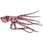 Octopus 12