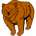 Bear 6