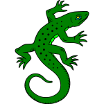 Lizard with long tail | Free SVG