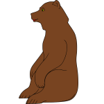 Bear 15b