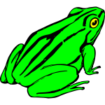 Frog 2b