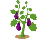 Eggplant-1689749869