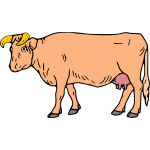Cow 1b