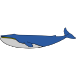 Whale 03b