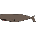 Whale 08b