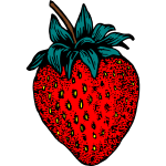 Strawberry 1c