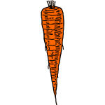 Carrot 1b