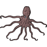 Octopus 13b