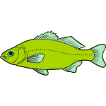 Fish 6b